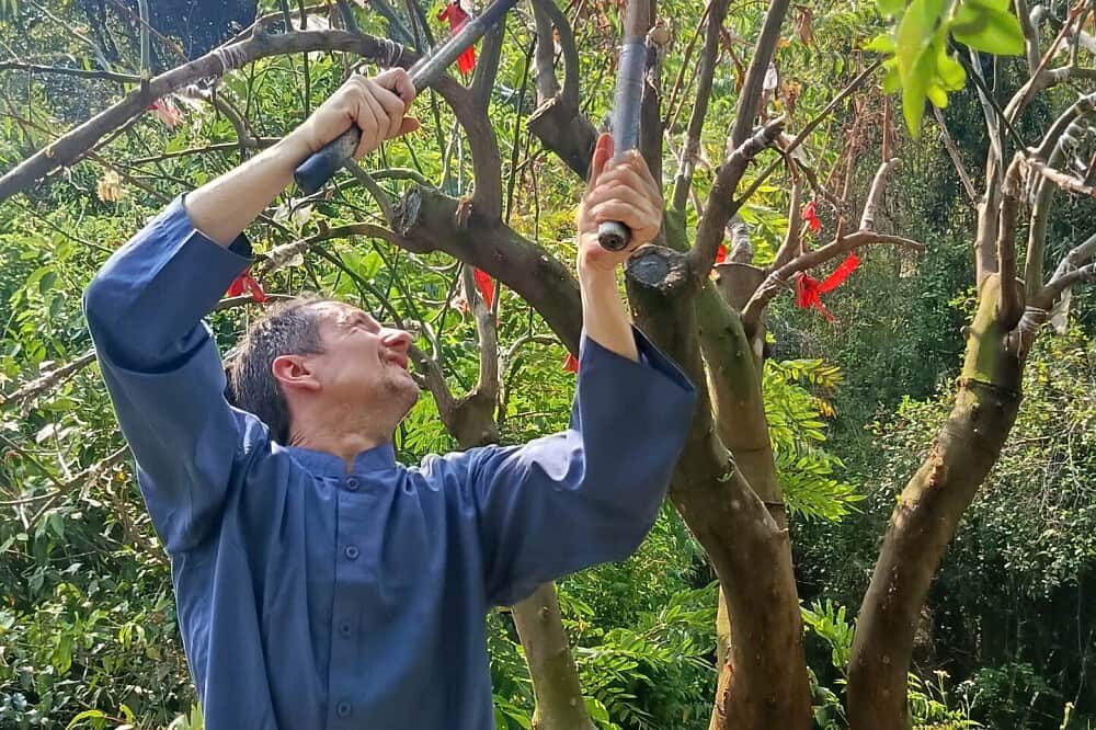 3 Day Buddhist Wisdom, Meditation & Monastic Life in Vietnam 6