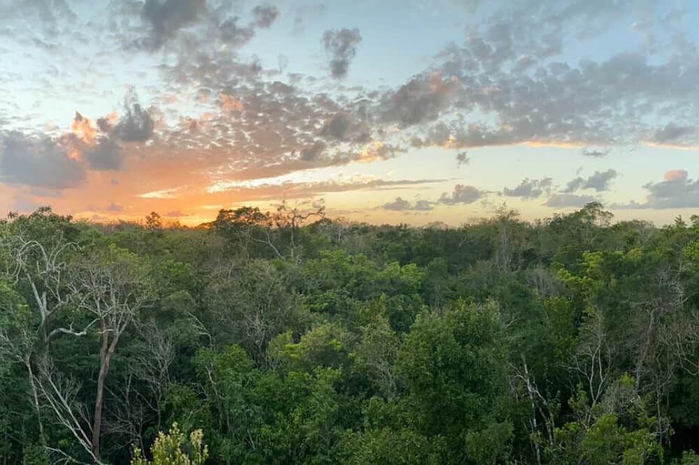 7 Day AwakEmbody Silent Meditation Retreat in Tulum, Mexico 3