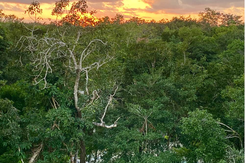 7 Day AwakEmbody Silent Meditation Retreat in Tulum, Mexico 4