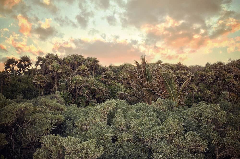 7 Day AwakEmbody Silent Meditation Retreat in Tulum, Mexico 5