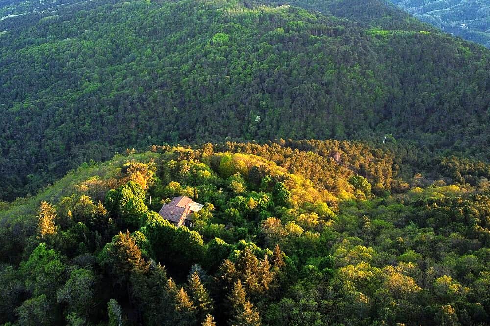 7 Day Group Darkroom Retreat:Deeper in the Forest, Tuscany, Italy 2