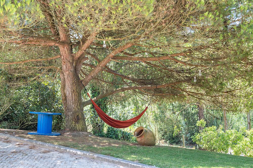 21 Day 200 Hour Yoga Teacher Training in Peniche, Portugal 1