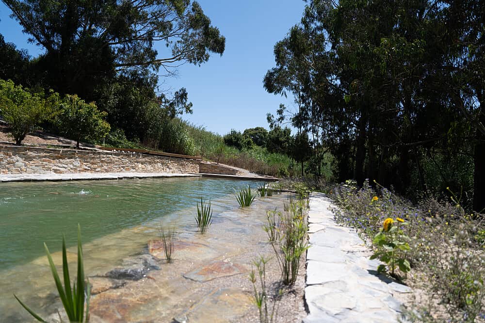 21 Day 200 Hour Yoga Teacher Training in Peniche, Portugal 8