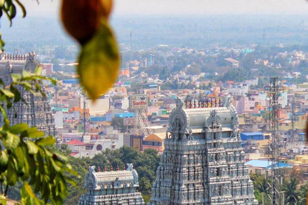 15 Day The Call of Arunachala: A Pilgrimage in India 5