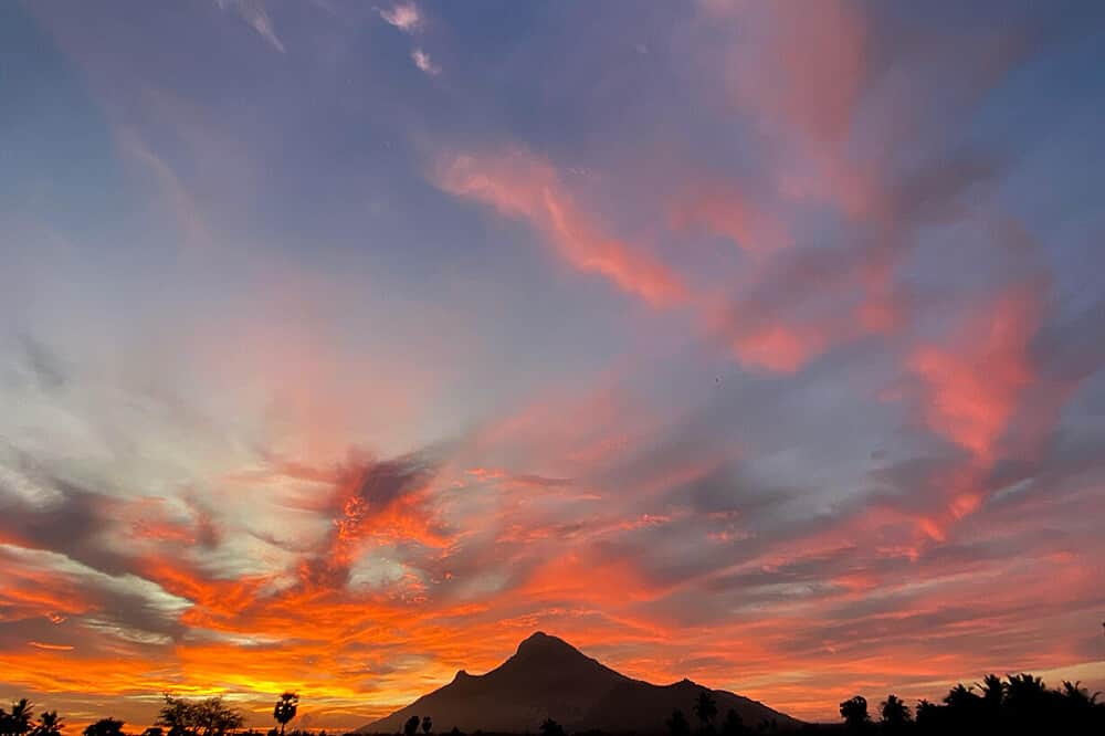 15 Day The Call of Arunachala: A Pilgrimage in India 6