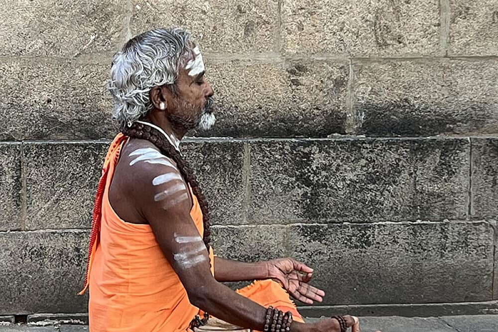 15 Day The Call of Arunachala: A Pilgrimage in India 7