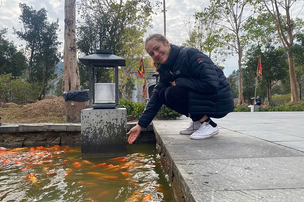 4 Day Deep Meditation Retreat in Yen Tu, Ha Long, Vietnam 8