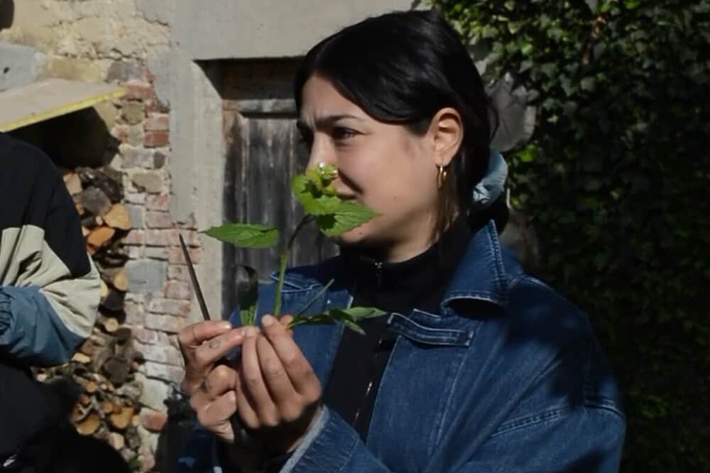3 Day Foraging & Cooking with Wild Herbs, Italy 1
