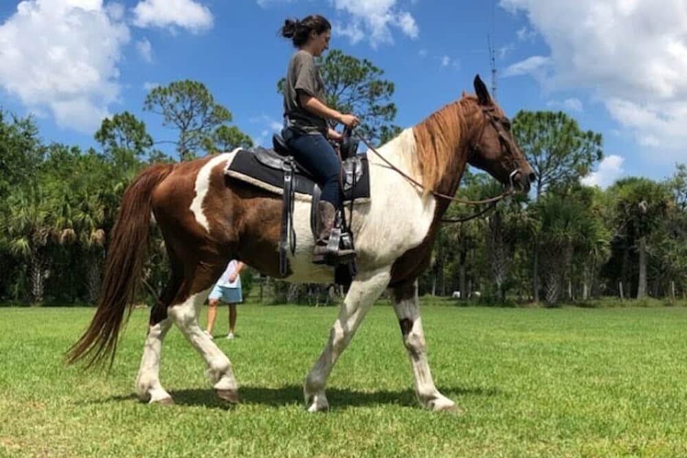 4 Day Women’s Emotional Wellness Beach Retreat in Florida, US 4