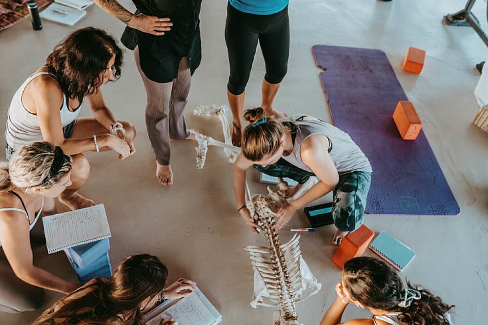 14 Day 200H Hybrid Online + In Person Hatha Vinyasa TTC, Thailand 7