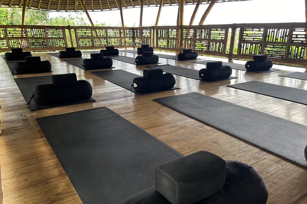 7 Day Renewal: All Inclusive Detox in Ubud, Bali 8