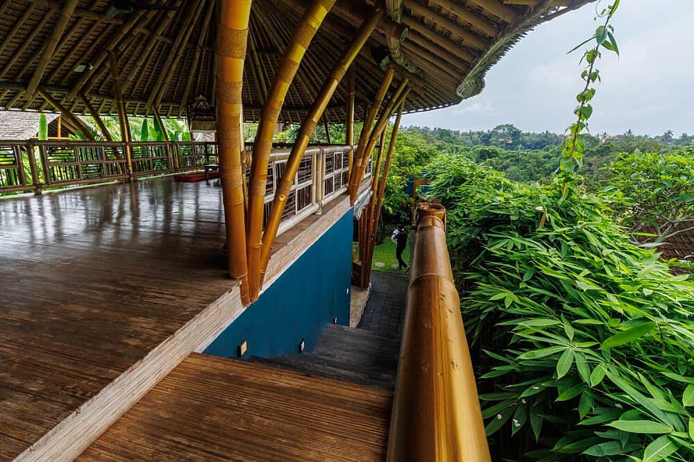 7 Day Renewal: All Inclusive Detox in Ubud, Bali 3