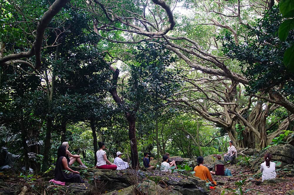 5 Day Silent Mindfulness Meditation & Yoga Retreat in Japan 3