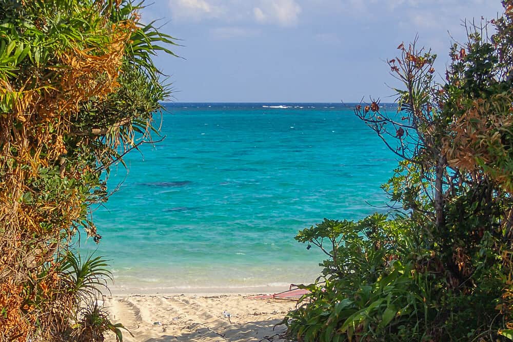 5 Day Silent Mindfulness Meditation & Yoga Retreat in Japan 6