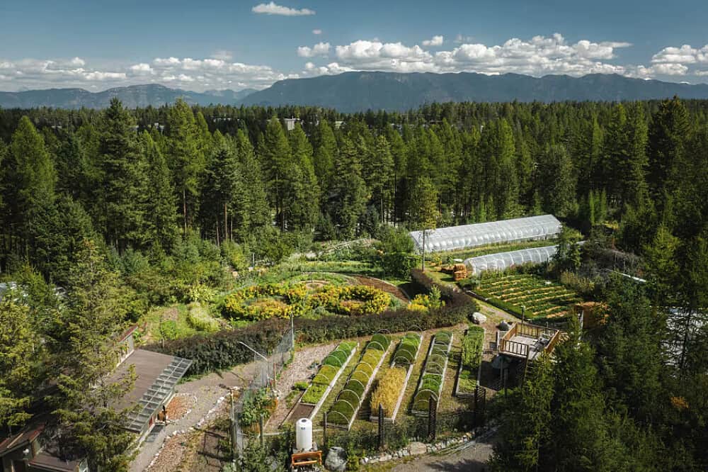 7 Day Ayurveda & Nature Retreat, Glacier National Park, MT, US 4