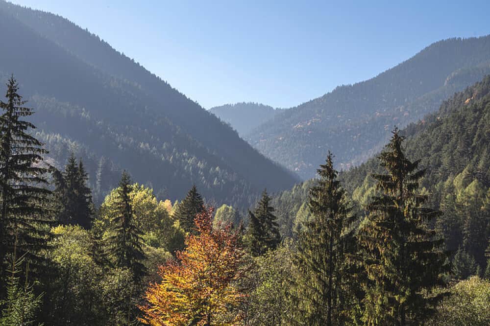 4 Day Writers Retreat Outside Yellowstone, WY, USA 4