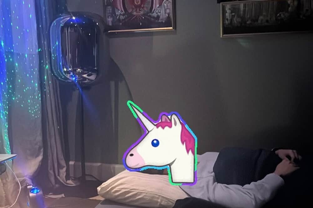 3 Day Private Session for Psychedelic Journey in the Netherlands 4