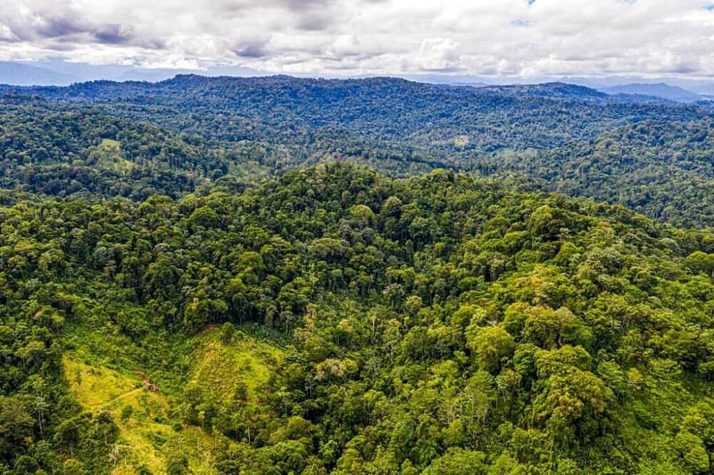 7 Day Retreat for Men in Costa Rica: 'The Devoted Man" 4