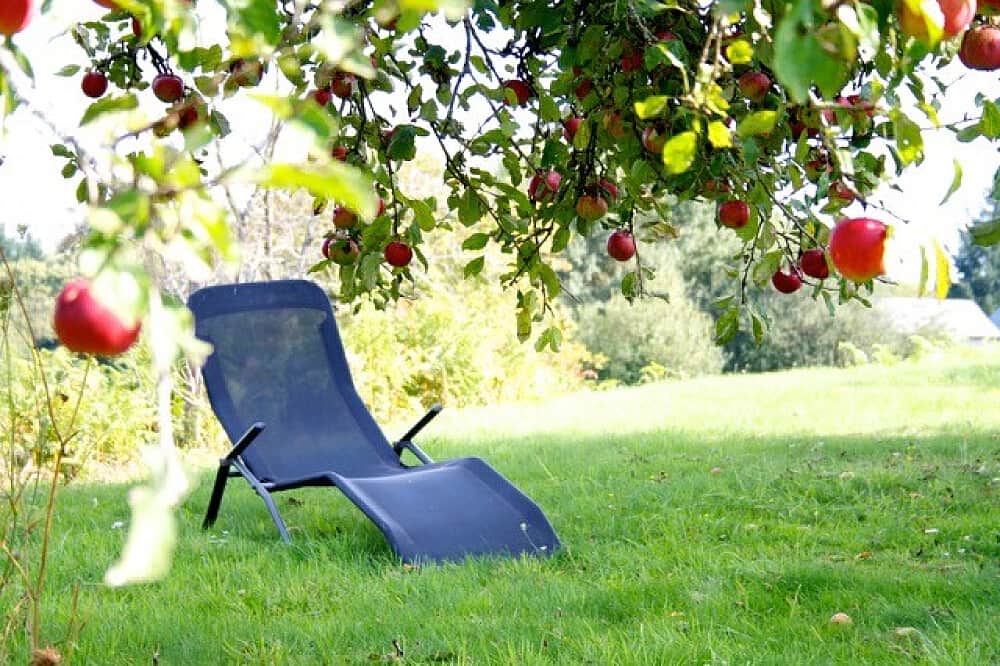 6 Day Writing Retreat 'Speculative Fiction' at Le Verger, France 6