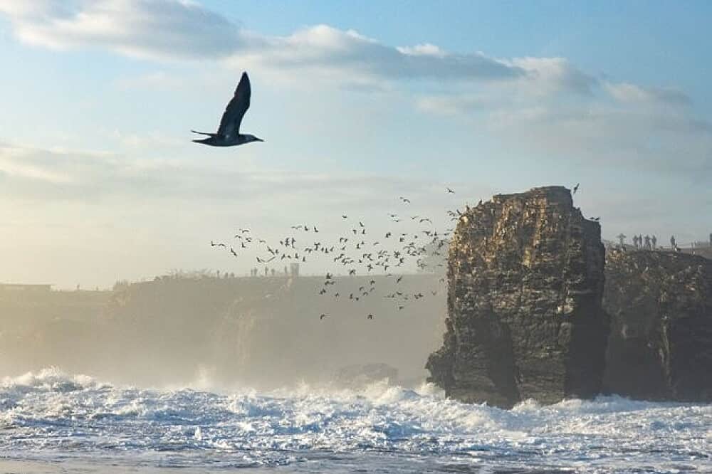 6 Day 'Good Waves & Good Vibes' Surf Camp, Punta De Lobos, Chile 4