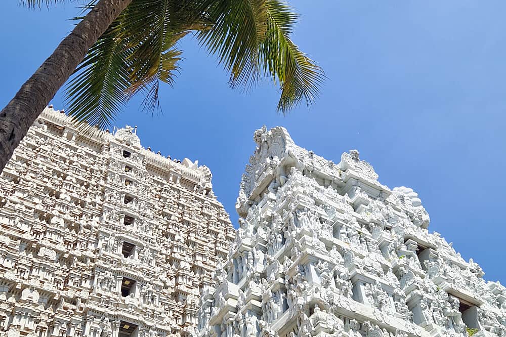 14 Day Yoga And Culture Transformational Journey In South India 7