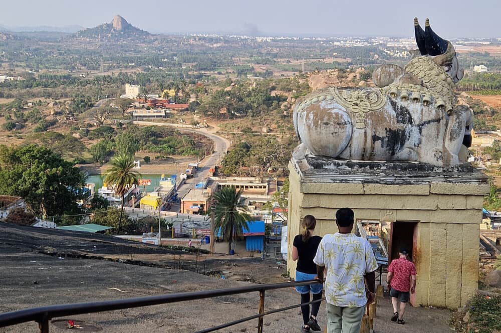 14 Day Yoga And Culture Transformational Journey In South India 6