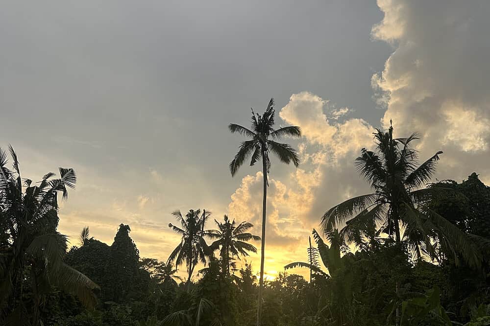 5 Day Awaken the Feminine: Women Only Healing Retreat in Bali 7