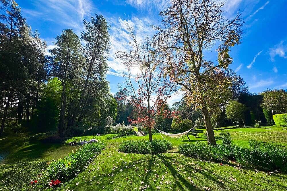 8 Day Eleusinia Psilocybin and DMT Retreat in Mexico 2