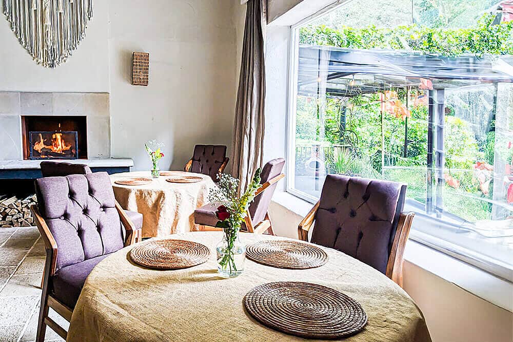 8 Day Eleusinia Psilocybin and DMT Retreat in Mexico 4