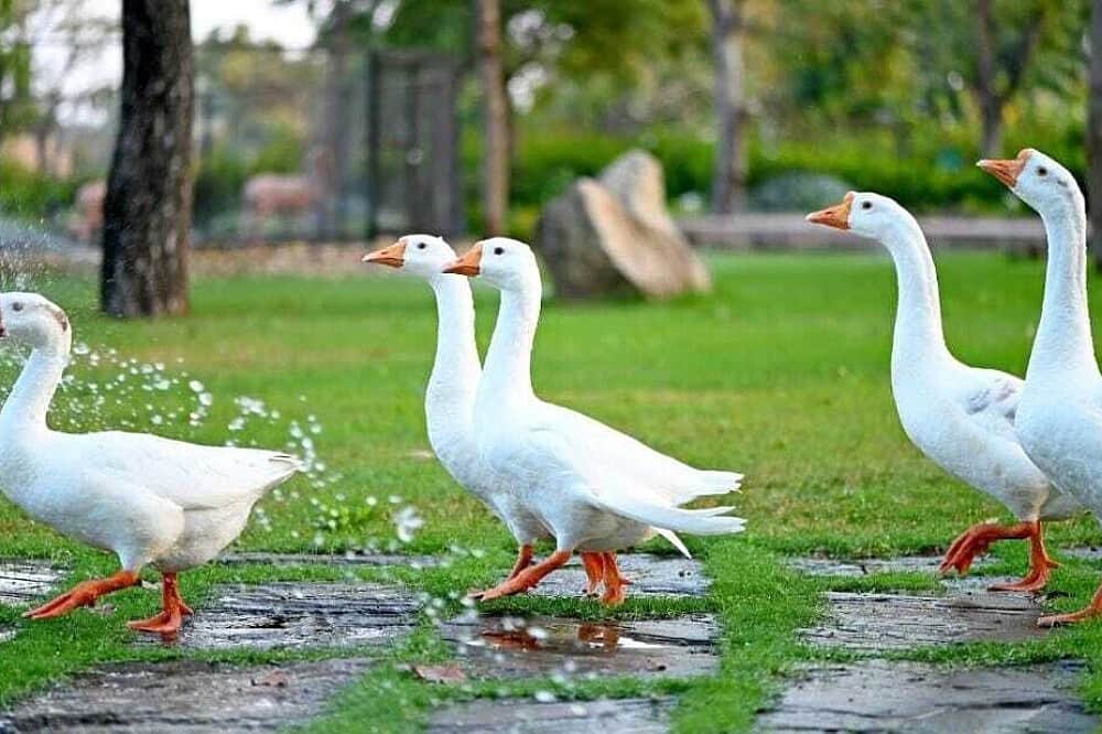 8 Day Detox Retreat In Chhattisgarh, India 2