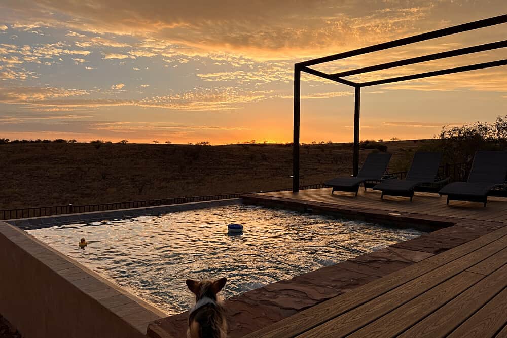 4 Day Amazing Women's Wellness Retreat in Patagonia, AZ, US 4