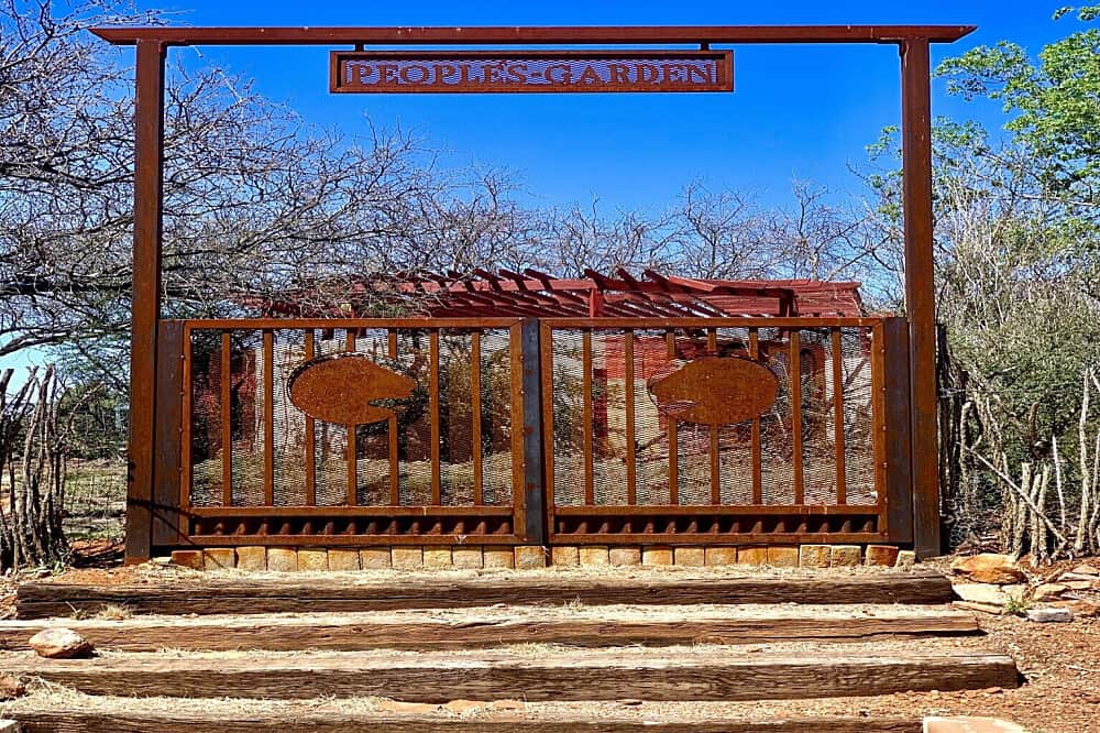 4 Day Amazing Women's Wellness Retreat in Patagonia, AZ, US 6