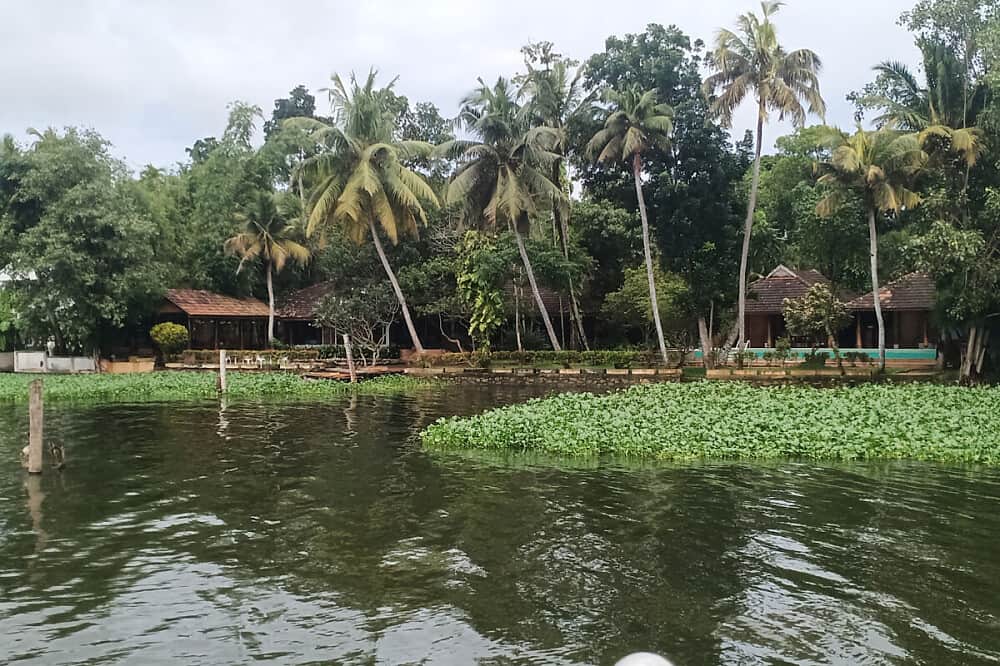 21 Day Sustainable Weight Loss & Ayurveda Panchakarma, India 6