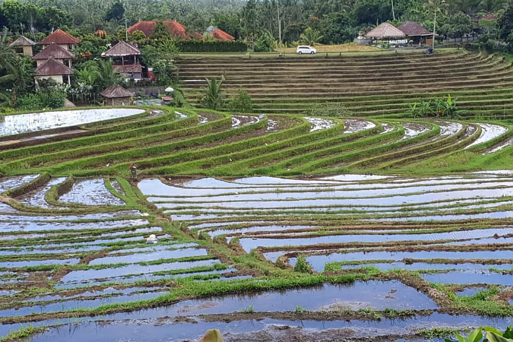 8 Day Shamanic, Sound Healing, Spa & Yoga Retreat in Bali 4