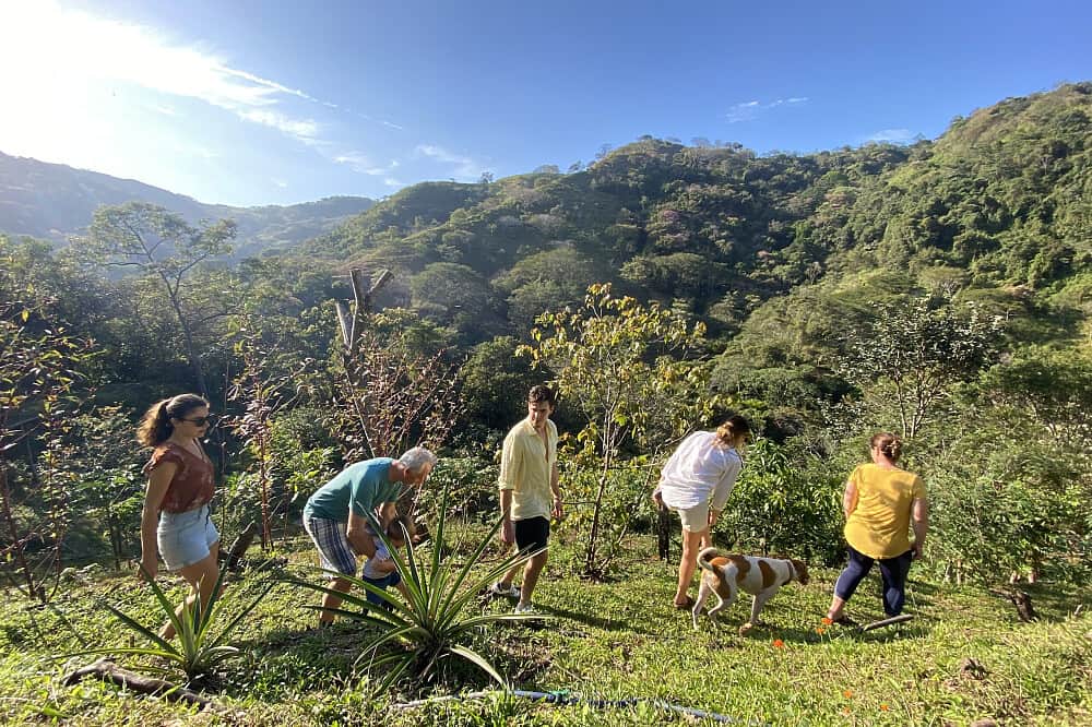 15 Day Authentic Nature Immersion Retreat in Costa Rica 4