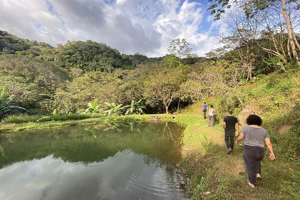 15 Day Authentic Nature Immersion Retreat in Costa Rica 8