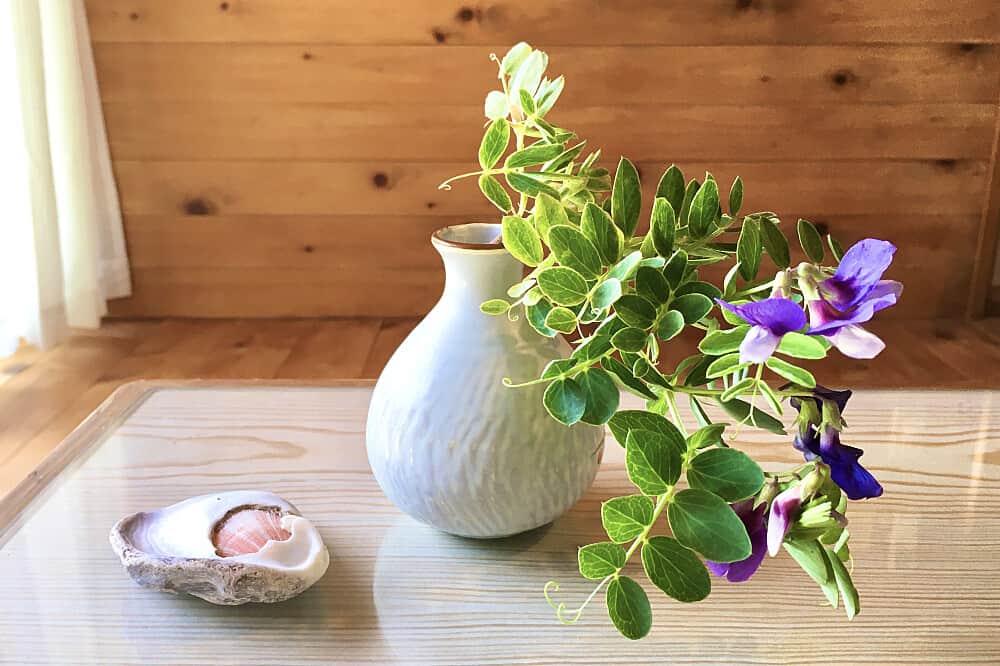 8 Day Deep Communication Retreat for True Peace, Japan 2