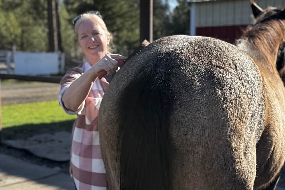 3 Day Awakening Your Inner Power with Horses in WA, USA 5