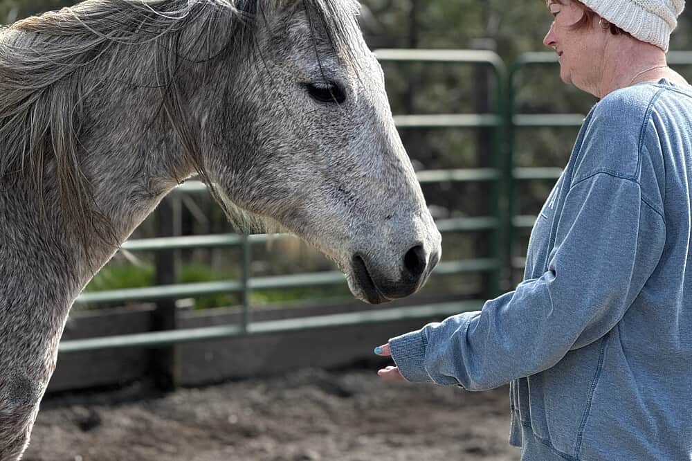 3 Day Awakening Your Inner Power with Horses in WA, USA 1