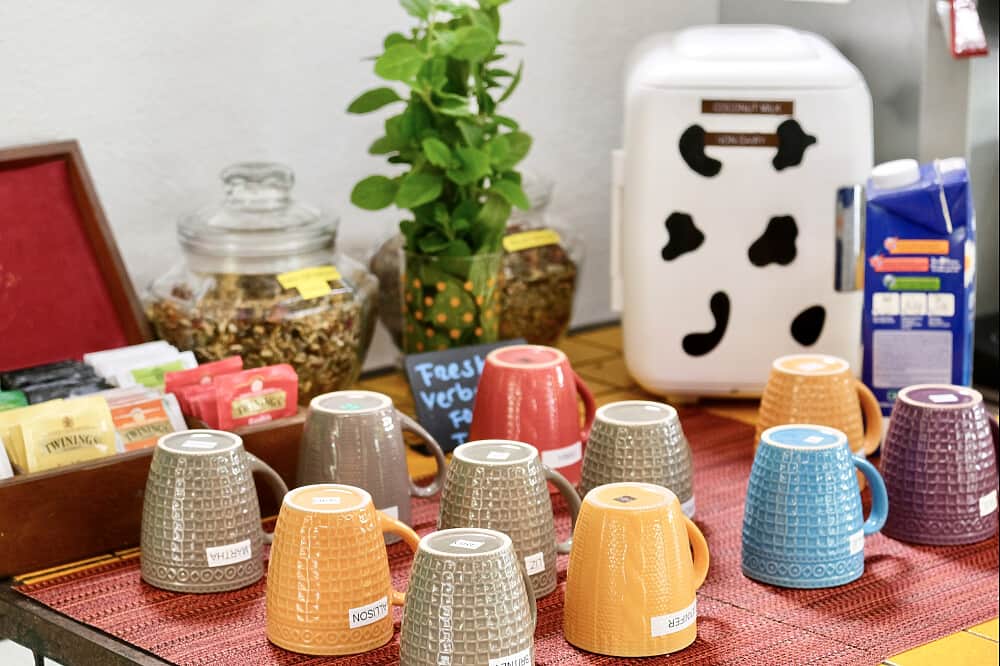 7 Day New Year's Yoga Retreat at Vida Asana in Costa Rica 4