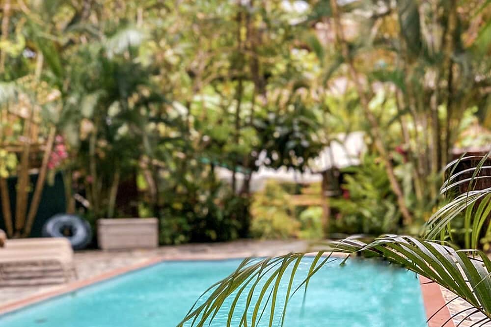 7 Day New Year's Yoga Retreat at Vida Asana in Costa Rica 5