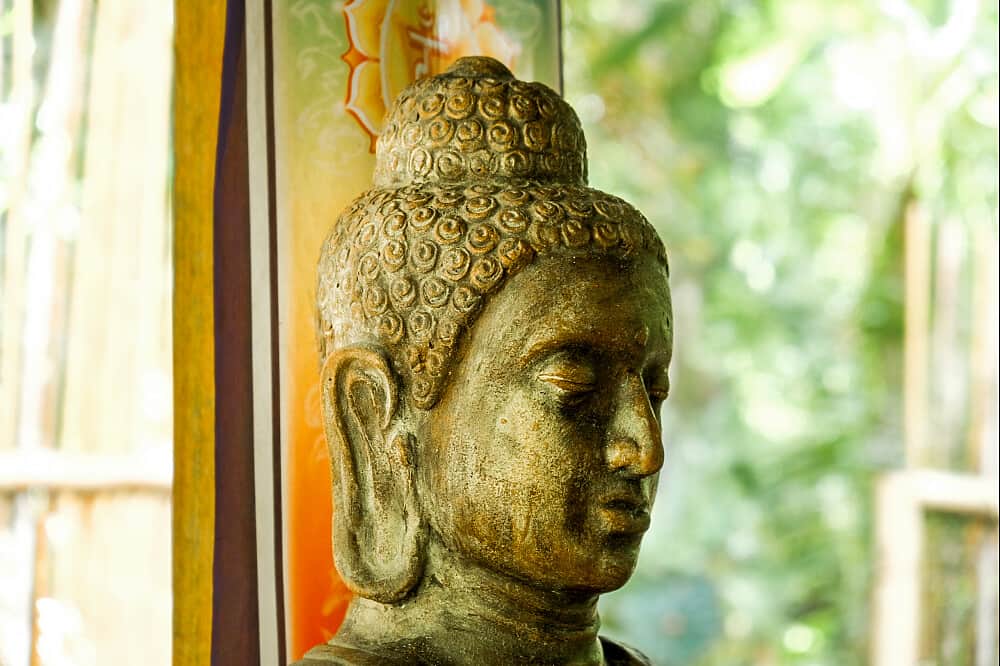 7 Day New Year's Yoga Retreat at Vida Asana in Costa Rica 6