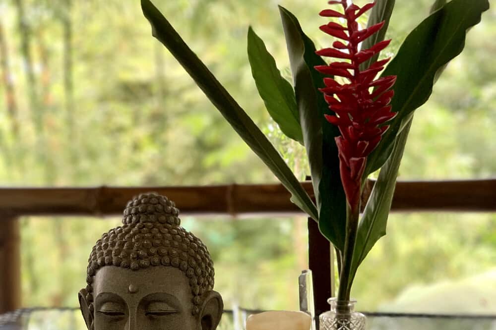 7 Day New Year's Yoga Retreat at Vida Asana in Costa Rica 7