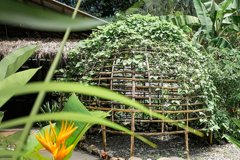 7 Day New Year's Yoga Retreat at Vida Asana in Costa Rica 8