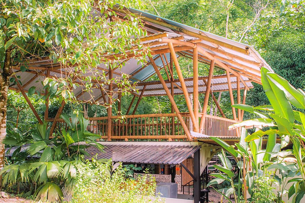 15 DayMaster Plant Dieta & Healing Immersion in Costa Rica 3