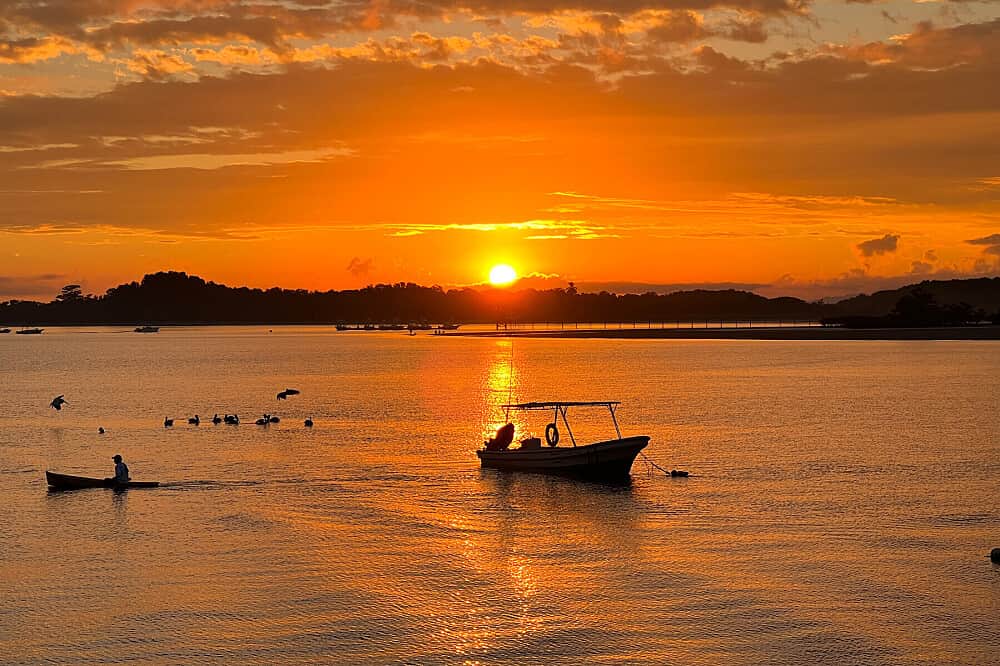 15 DayMaster Plant Dieta & Healing Immersion in Costa Rica 5