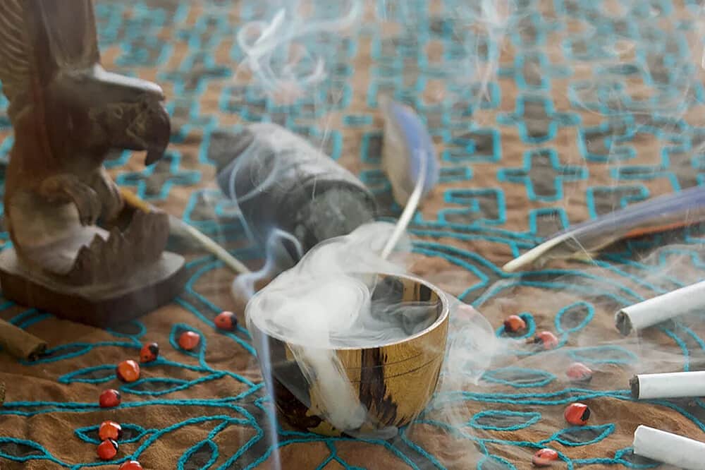 15 DayMaster Plant Dieta & Healing Immersion in Costa Rica 2