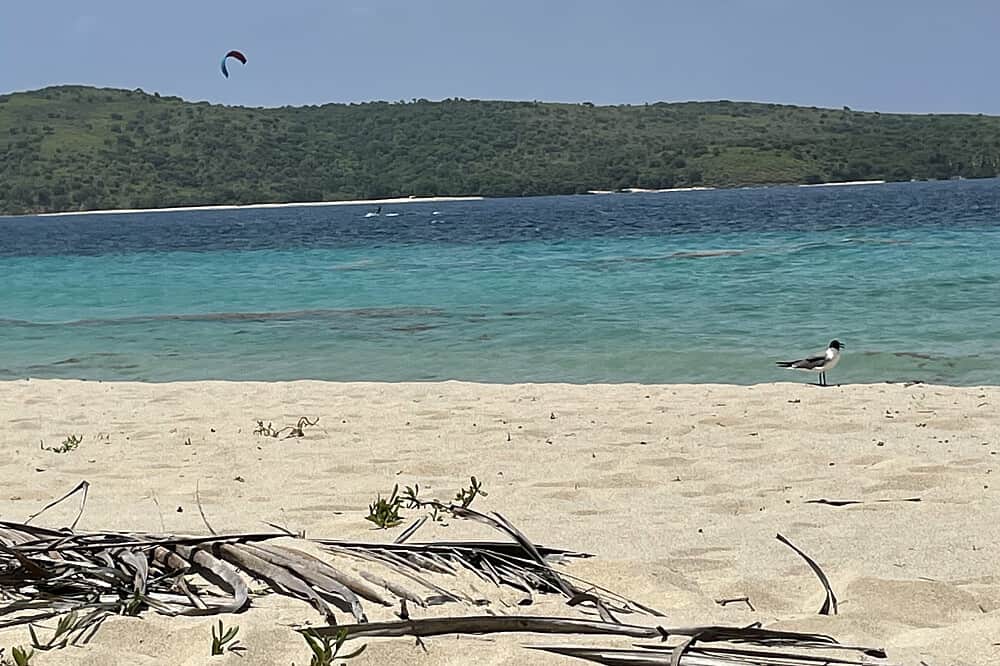 5 Day Immersive Island Getaway in the Caribbean, Puerto Rico 8