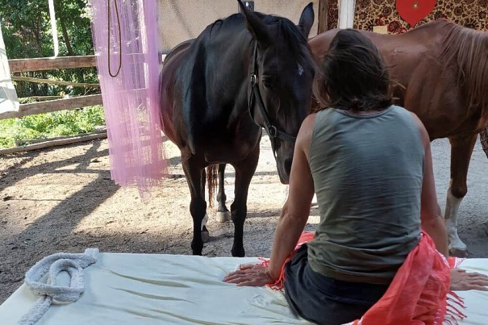 3 Day Horse Therapy Weekend in Czechia 6