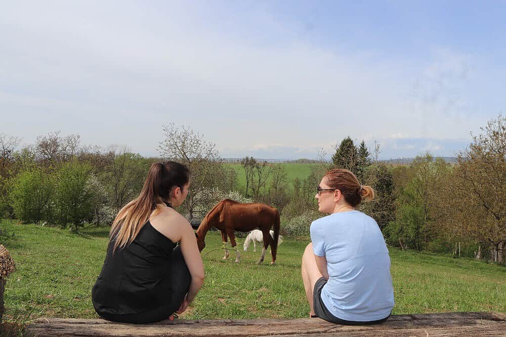 3 Day Horse Therapy Weekend in Czechia 4